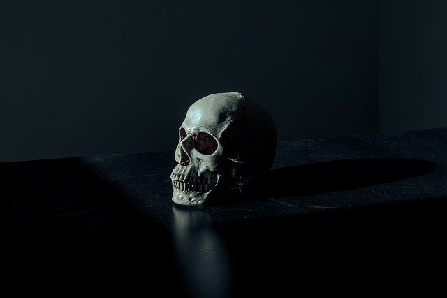 skull-1867707_640