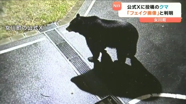 宮城・女川町「クマ目撃があった」と注意喚起するも、実はフェイク画像　画像提供者が交番に訪れる