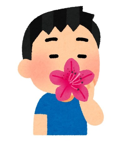 flower_tsutsuji_mitsu