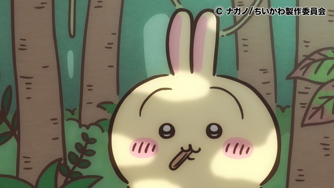 【ちいかわ】ロン毛のうさぎ、ちょっとかわいい