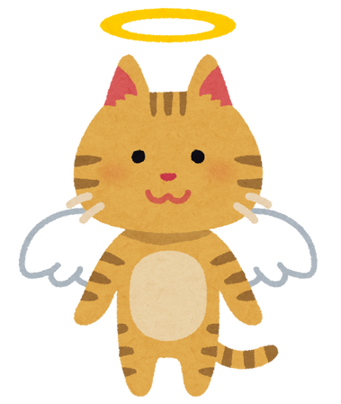 pet_angel_cat