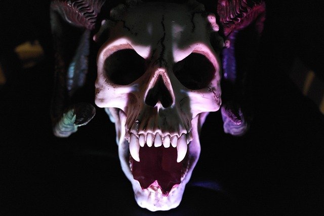 skull-535745_640
