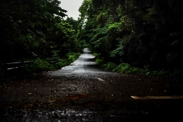 48歳女性が山で行方不明 「入ってはいけない道に入ってしまった助けて」→その後連絡途絶える