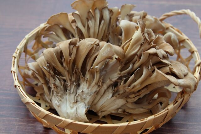 最近気付いたけどキノコって美味いね