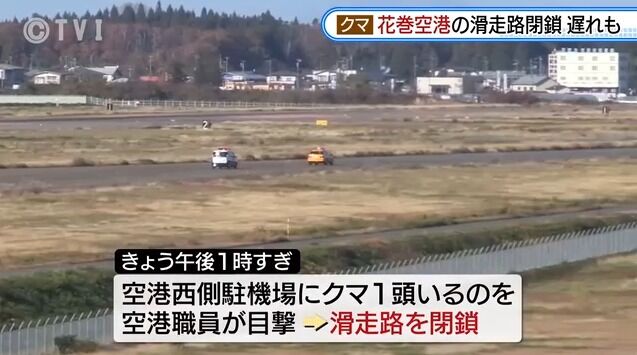 クマが空港に出没！いわて花巻空港で滑走路一時閉鎖……