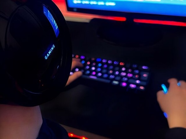 たまにオンラインゲームでギルドの団長やっとる奴おるやろ