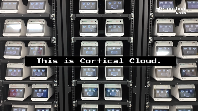 人間の脳細胞を動力源とする「生物学的データセンター」建設へ