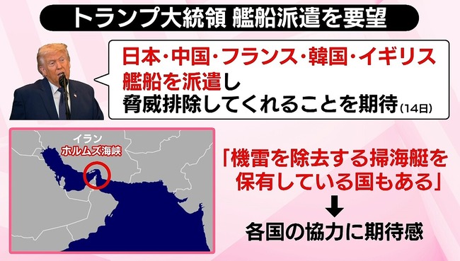 トランプ「石油に依存する国々はホルムズ海峡を守らないとダメだよね？ウチは産油国だから違うけど」