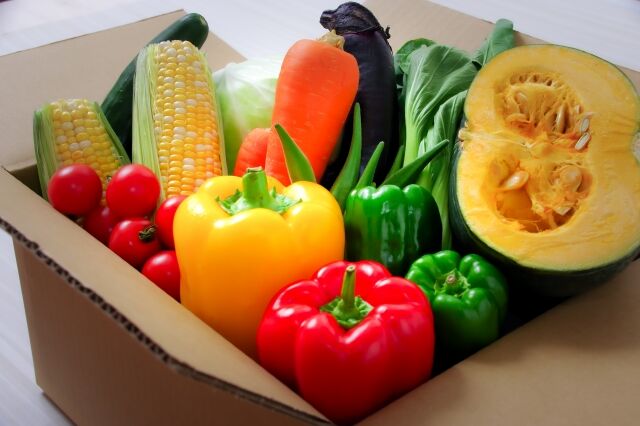 北海道の父親「東京の娘夫婦に野菜を送ったら嫌がられた。なぜだ？」