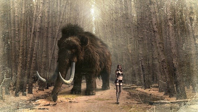fantasy-2785017_640
