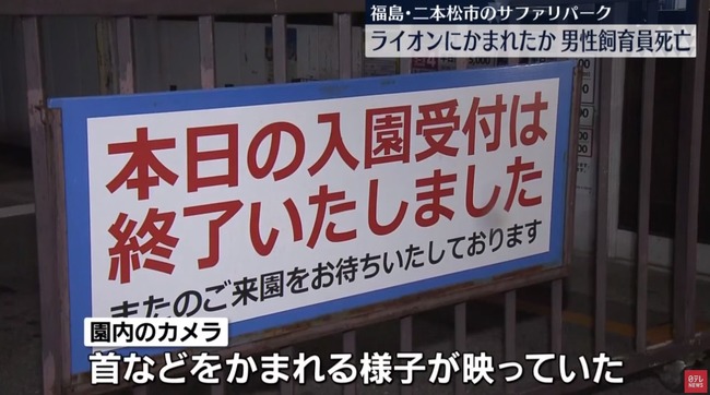 放し飼いにしていたライオンに首を噛まれたか？東北サファリパークで男性飼育員が死亡　