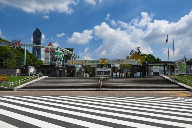 【動画】東山動植物園のゴリラ、動きがカッコ良すぎる