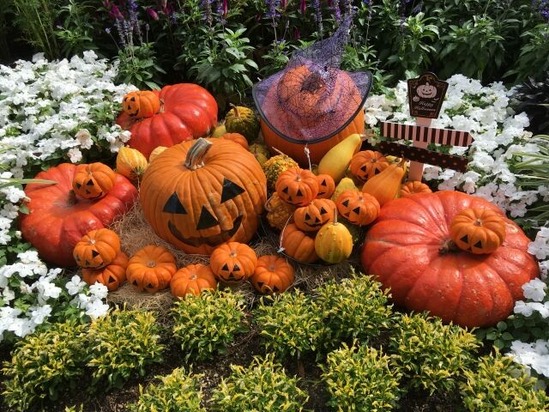 【悲報】ハロウィンの市場規模が縮小