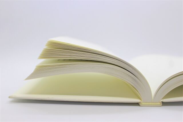 マンガワン編集部、疑惑について明日声明を出す模様