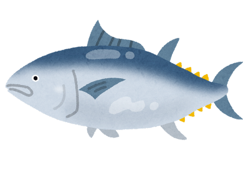 fish_maguro2