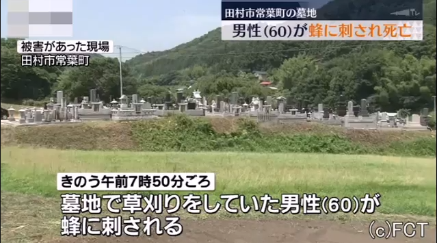 墓地で草刈りをしていた男性、ハチに刺され死亡