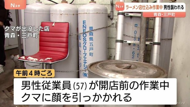 子グマに襲われた男性、ボコボコに返り討ちにするも「笑えないです」