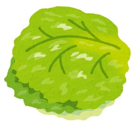 vegetable_lettuce