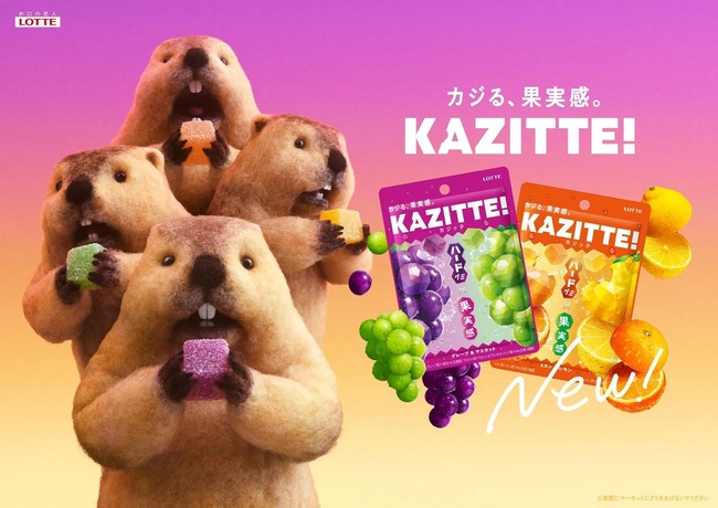 【朗報】グミ界隈、『KAZITTE！(カジッテ』が無事覇権へ