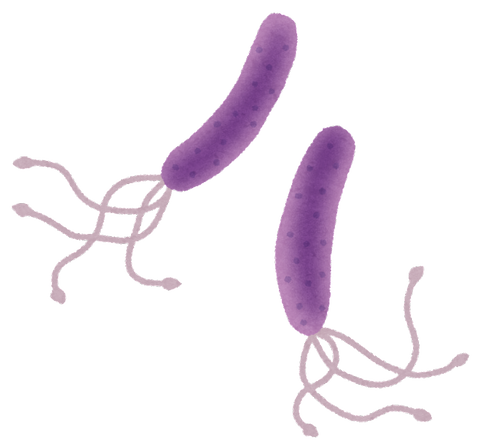 virus_pylori_pirorikin