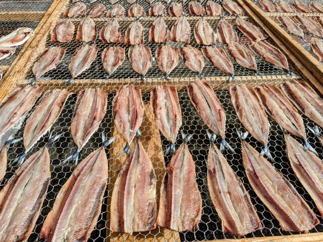 【悲報】若者の干物離れで干物製造業の倒産が過去最多に