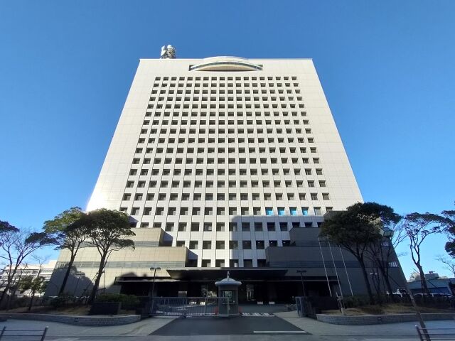 29197733_s
