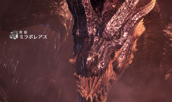 モンハン世界最強の存在が火を吐けるだけのドラゴンって一周回ってかっこいいよな