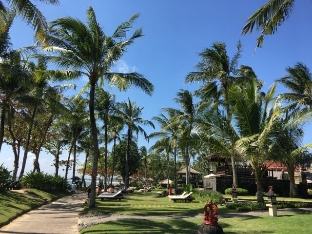 バリ島で日本人の生徒が集団万引きをする映像が拡散　京都の学校が事実を認め謝罪