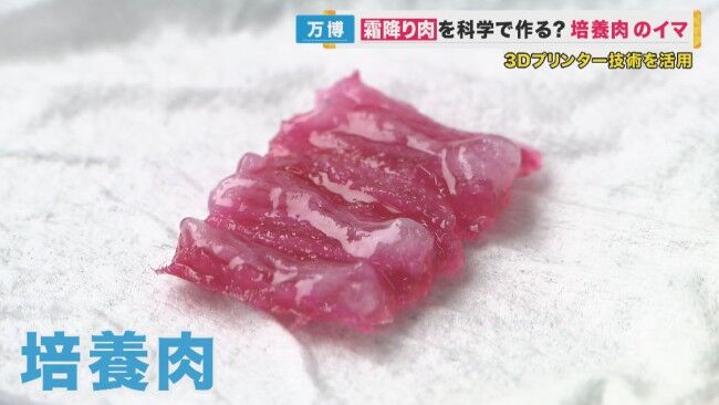 「牛の培養肉」来年1月にも試験生産開始へ　3Dプリンターで成形