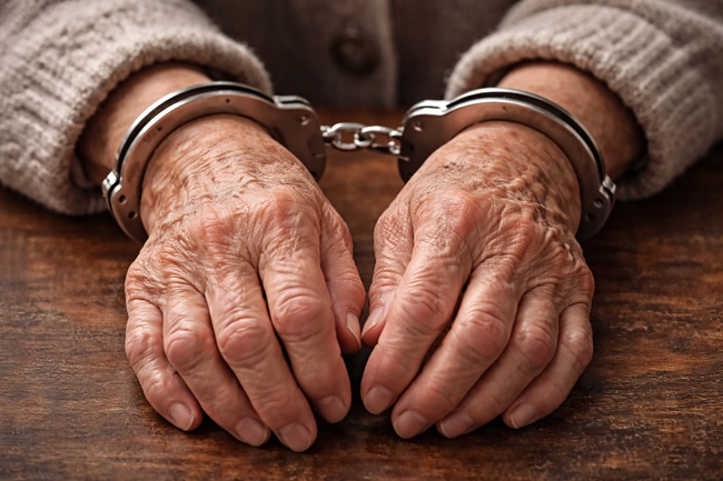 小さい男の子の背後から股の下に手を伸ばし服の上から下半身触った85歳の女を現行犯逮捕