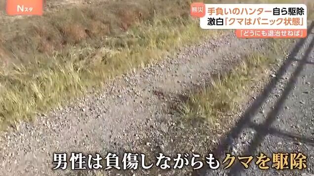 【悲報】猟友会のハンター(80)、クマの急襲に遭うも反撃して射殺