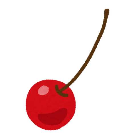 fruit_sakuranbo