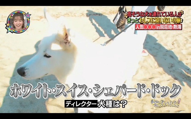 【訃報】猿渡哲也先生の愛犬ラッキー、永眠