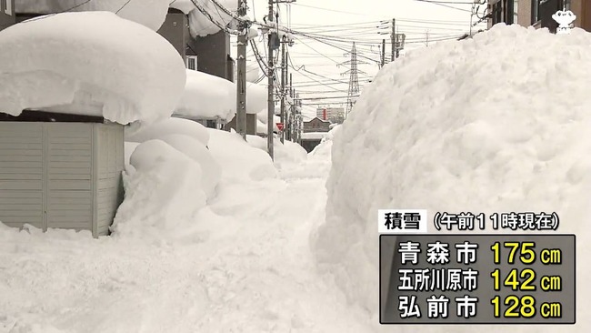 青森県在住の漫画家「クソ雪が生み出す名物を紹介するぜ！」