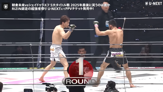 【悲報】 朝倉未来「殴られて意識飛んだ。まじやばかった終わった後も脳ミソやばい」