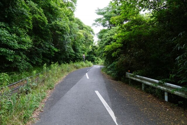 夫と一緒にドライブ中の70代女性が行方不明に… 休憩でやぶの中に入って戻らず