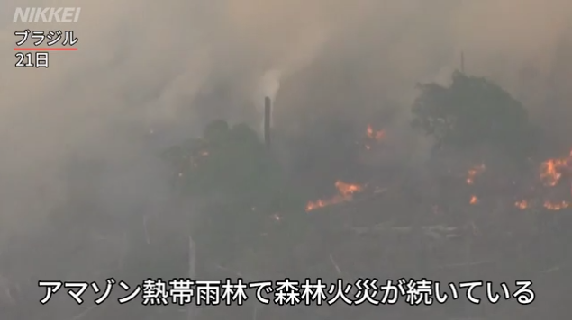 アマゾンで森林火災