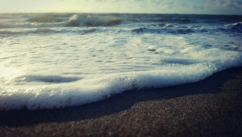 [画像:f9a02adc-s.jpg]