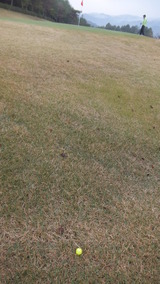 DSCF1275