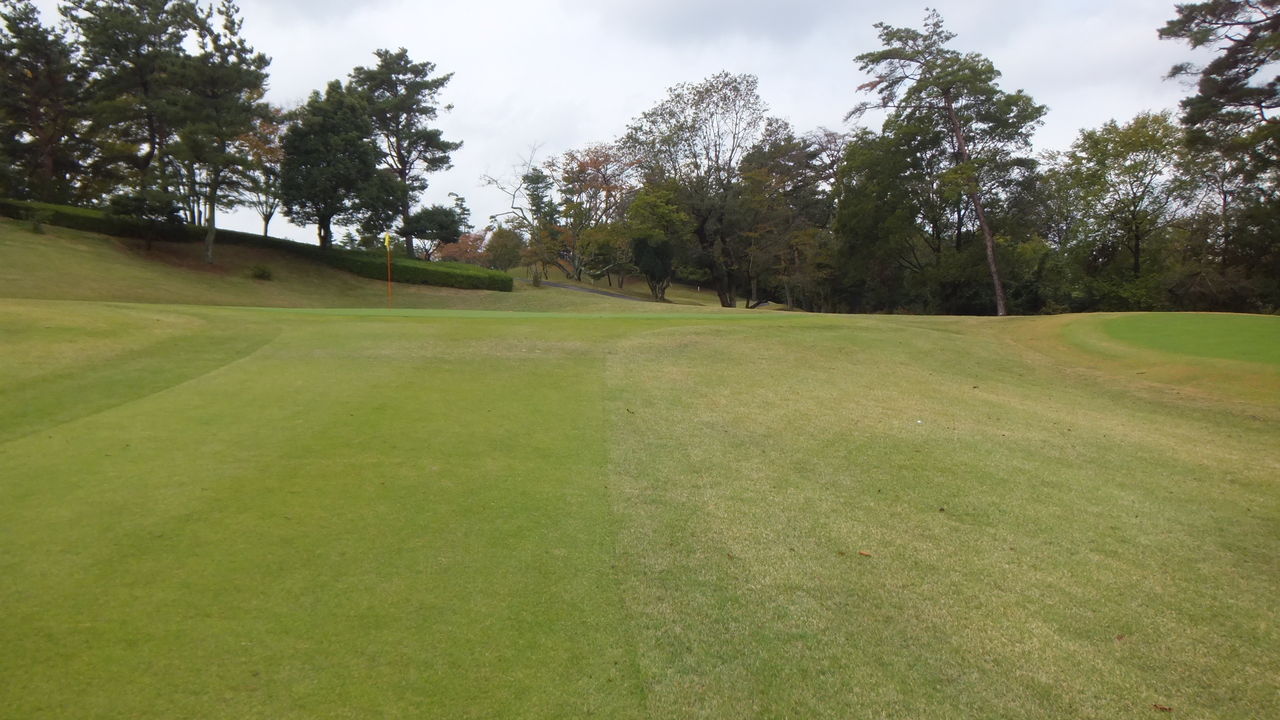 名神八日市カントリー倶楽部(2013/10/19,雨のち曇時々晴,伊吹→比叡,スコア98) 歩数計忘れた(^^ゞ Golf外伝 名神八日市カントリー倶楽部(2013/10/19,雨のち曇時々晴,伊吹→比叡,スコア98) 歩数計忘れた(^^ゞ Golf外伝