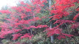 DSCF1272