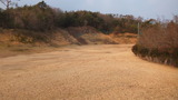 DSCF2854