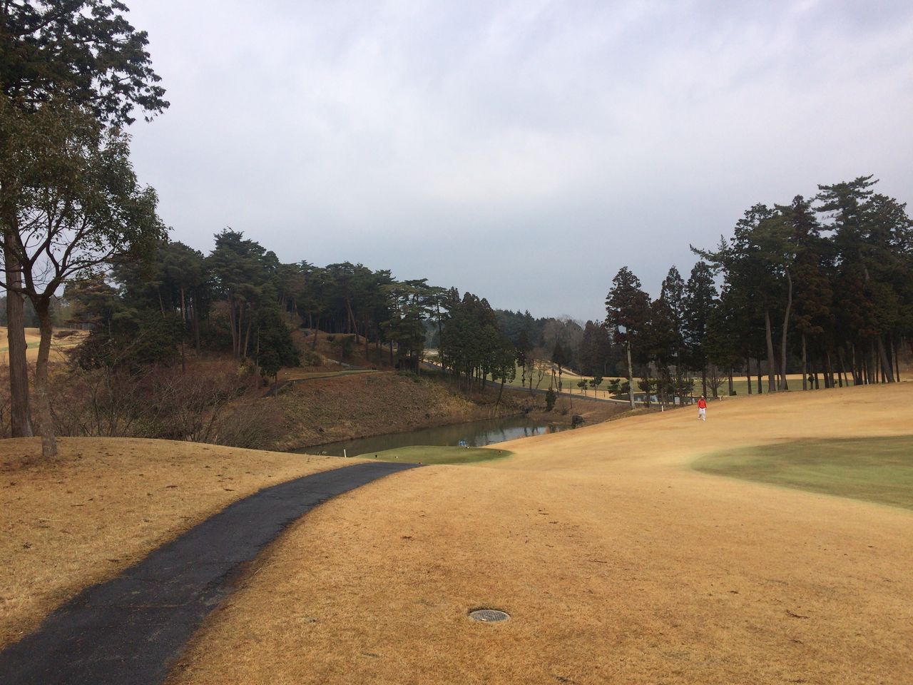 滋賀ゴルフクラブ 18 1 6 曇一時雨 In Out スコア92 11 446歩 Golf外伝 滋賀ゴルフクラブ 18 1 6 曇一時雨 In Out スコア92 11 446歩 Golf外伝