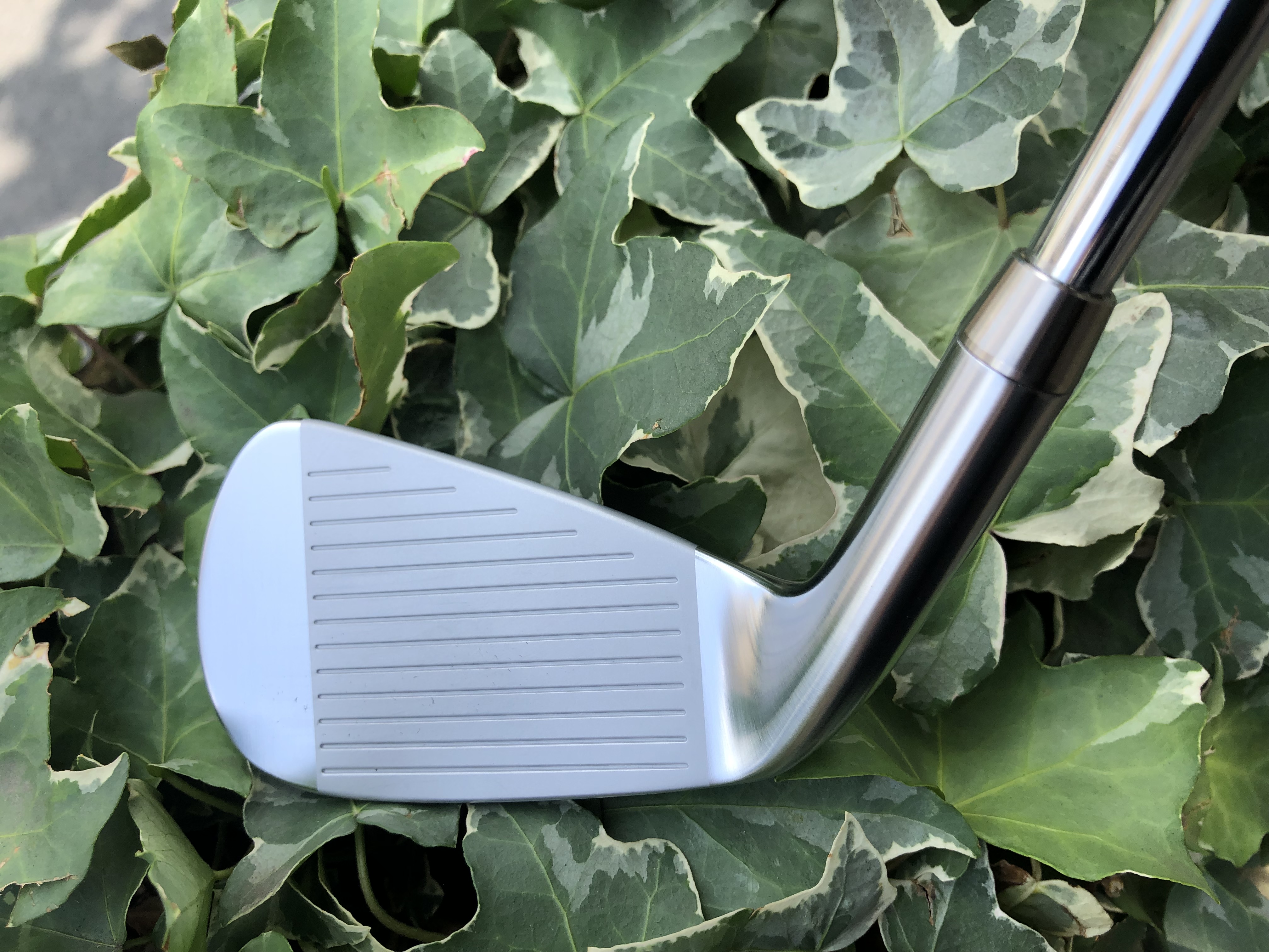 RomaRo Ray-V V2アイアン試打作製 : CHOICE 店長の切磋琢磨なブログ