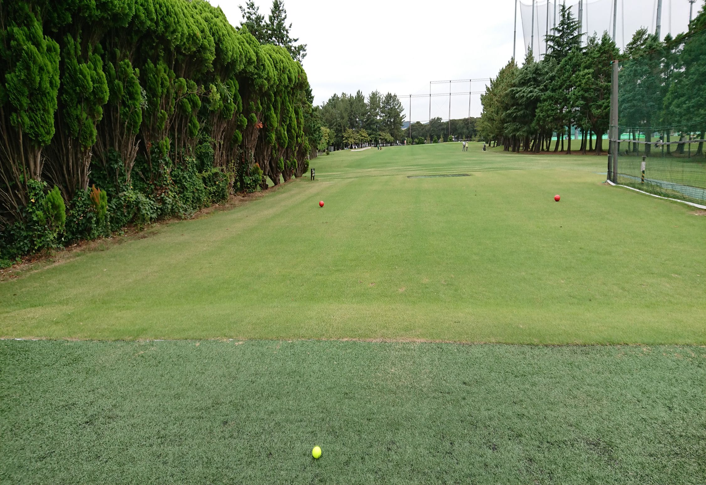 東宝調布スポーツパーク ショートコース 感想 まとめ Gio Golf Information Online 未来のゴルフを考えるブログ
