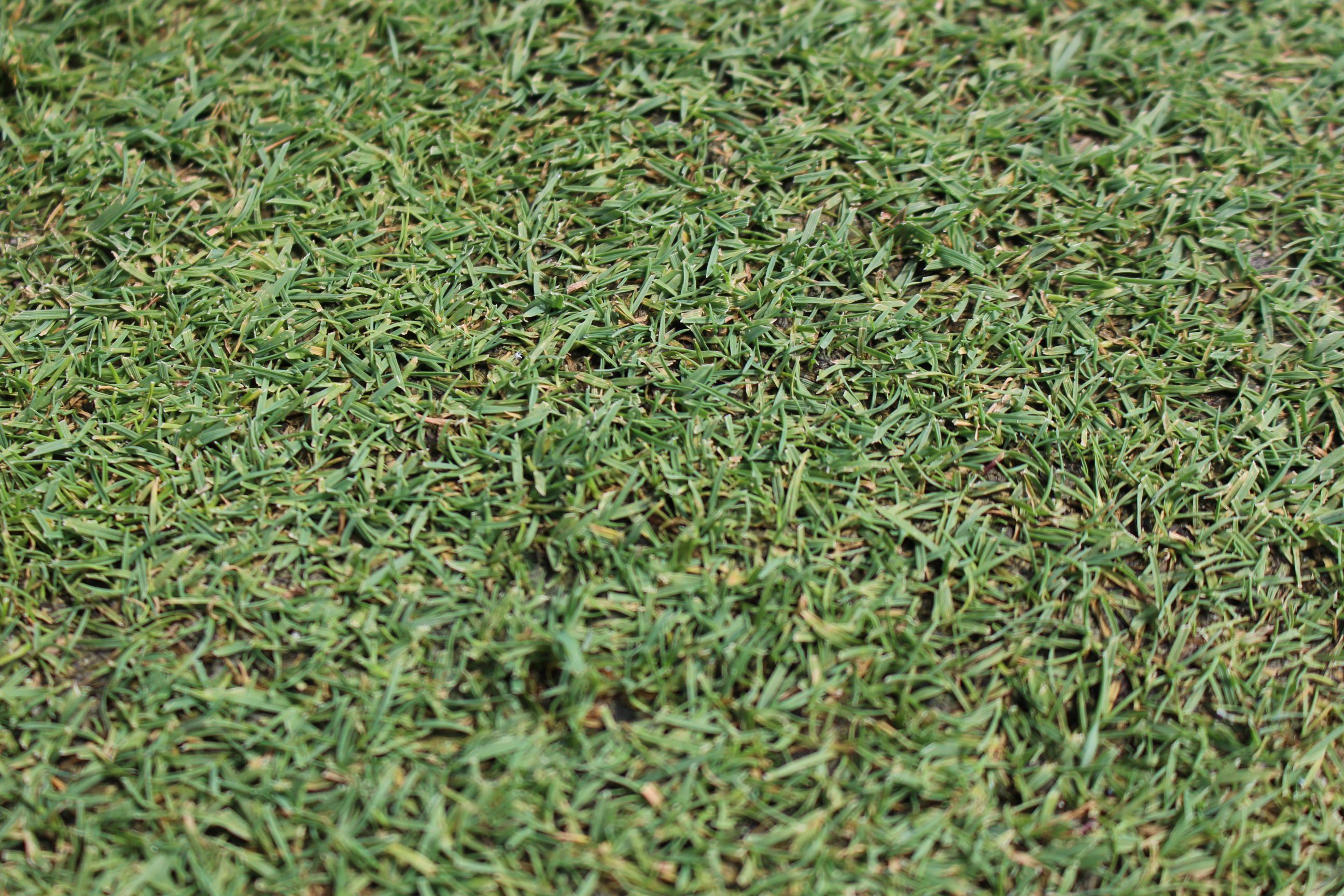 コスモクラシッククラブ Gio Golf Information Online 未来のゴルフを考えるブログ