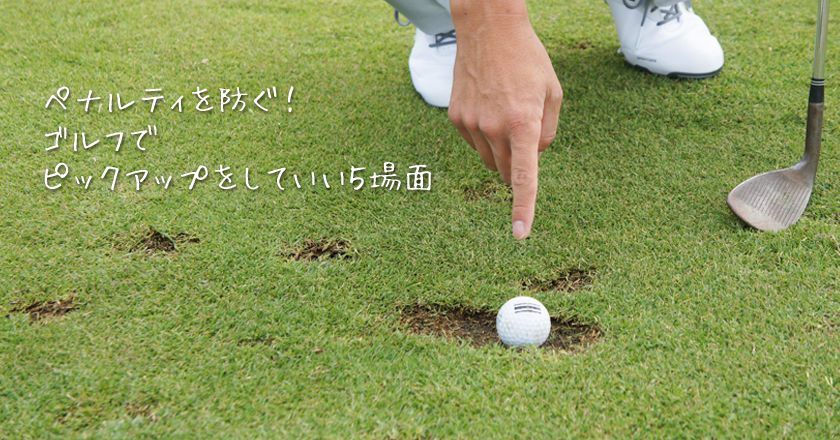今さら聞けないボールを拾い上げても良い場面 ゴルフ大好きパープルのblog 今さら聞けないボールを拾い上げても良い場面 ゴルフ大好きパープルのblog