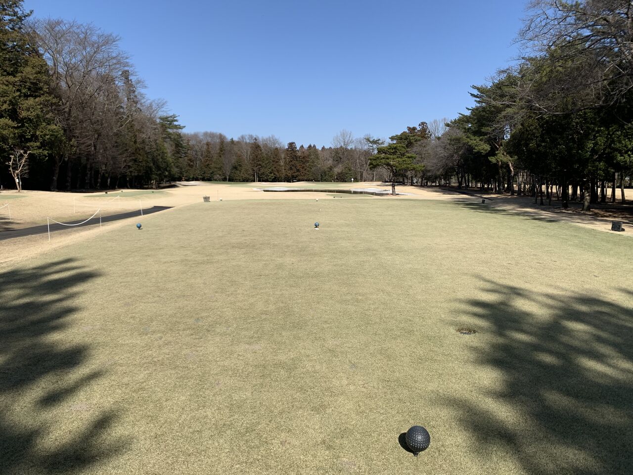 年02月 Golfzukiatsumareのblog 年02月 Golfzukiatsumareのblog