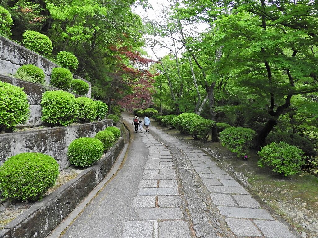 コロナに負けない 静かな杉村公園散歩 橋本市御幸辻786 ゴル爺 ごるままのフォト日記