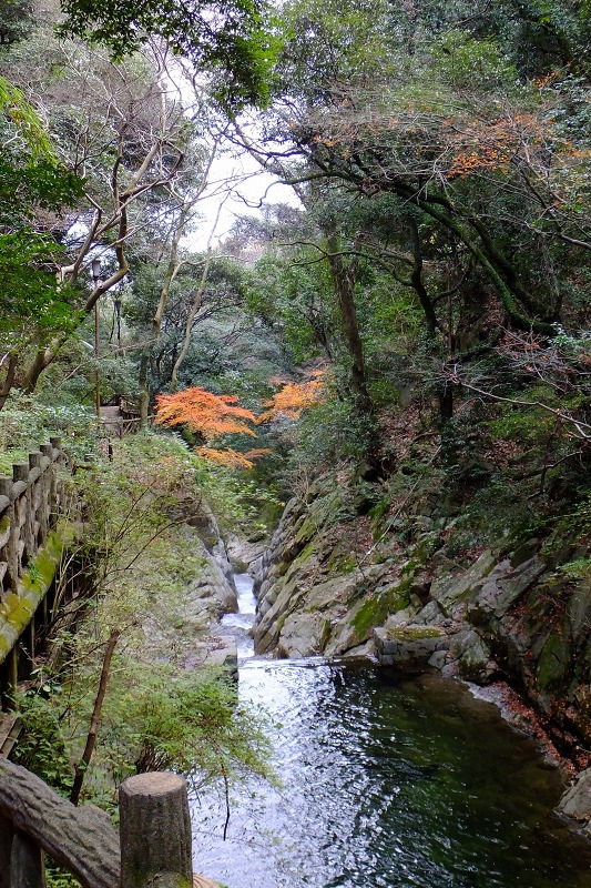 神戸 布引渓流散策 3 布引三十六歌碑 神戸市中央区葺合町 ゴル爺 ごるままのフォト日記